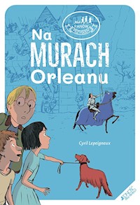 Na murach Orleanu - Lepeigneux Cyril - książka