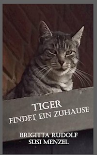 Tiger findet ein Zuhause - Brigitta Rudolf - ebook