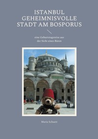 Istanbul geheimnisvolle Stadt am Bosporus - Maria Schuett - ebook