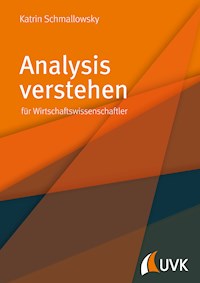 Analysis verstehen - Katrin Schmallowsky - ebook