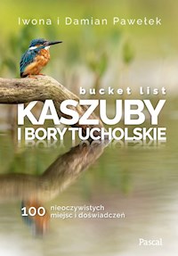 Bucket list Kaszuby i Bory Tucholskie 100 nieoczywistych miejsc i doświadczeń - Pawełek Iwona, Pawełek Damian - książka