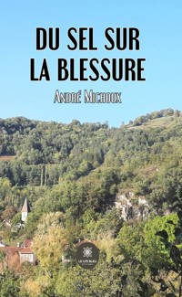 Du sel sur la blessure - André Michoux - ebook