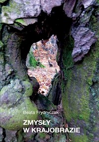 Zmysły w krajobrazie - Frydryczak Beata - książka