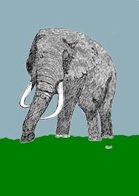 Die Tolympiade - Johann D.W. George - ebook