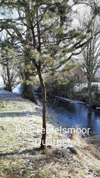 Das Teufelsmoor Quartier - Joachim Janssen - ebook