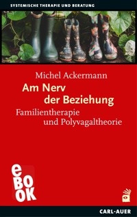 Am Nerv der Beziehung - Michel Ackermann - ebook