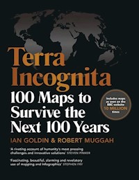 Terra Incognita - Goldin Ian, Muggah Robert - książka