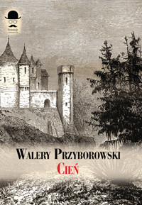 Cień - Walery Przyborowski - książka