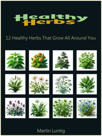 Healthy Herbs - Martin Luntig - ebook