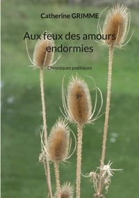 Aux feux des amours endormies - Catherine Grimme - ebook