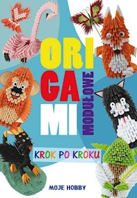 Origami modułowe Krok po kroku - Wodzyńska Zofia - książka