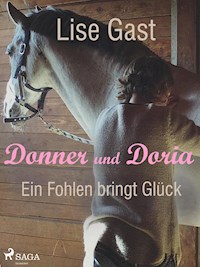 Ein Fohlen bring Glück - lise  gast  - ebook