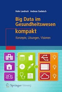 Big Data im Gesundheitswesen kompakt - Holm Landrock - ebook