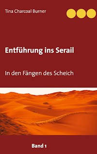 Entführung ins Serail - Tina Charcoal Burner - ebook