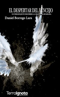 El despertar del vencejo - Daniel Borrego Lara - ebook
