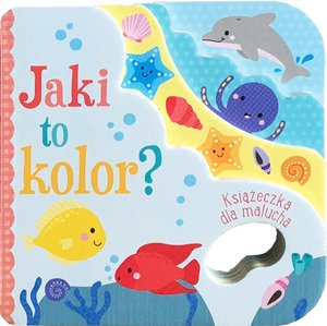 Jaki to kolor? - zbiorowa praca - książka