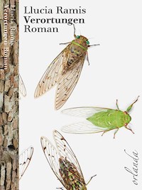 Verortungen - LLucia Ramis - ebook