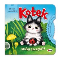 Baw się w kółko Kotek szuka szczęścia - Katarzyna Vanevska - książka