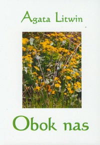 Obok nas - Litwin Agata - książka