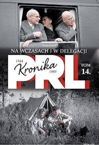 Na wczasach i w delegacji - Kienzler  Iwona - książka