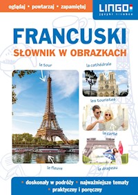 Francuski. Słownik w obrazkach -  - ebook