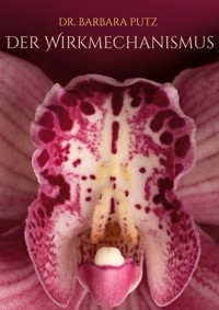 Der Wirkmechanismus - Barbara Putz - ebook