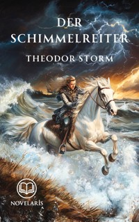 Der Schimmelreiter - Theodor  Storm - ebook