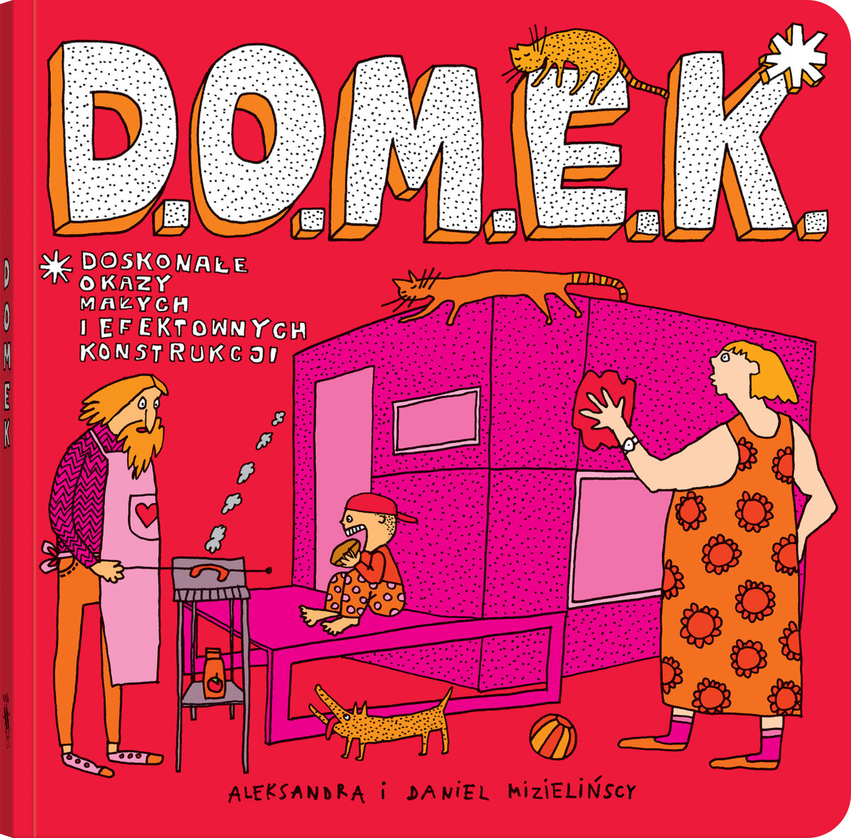 D.O.M.E.K. Doskonałe Okazy Małych i Efektownych Konstrukcji - Daniel Mizieliński, Aleksandra Mizielińska - książka