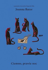 Ciemno, prawie noc - Joanna Bator - książka