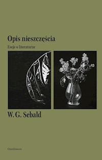 Opis nieszczęścia - Sebald W.G. - książka