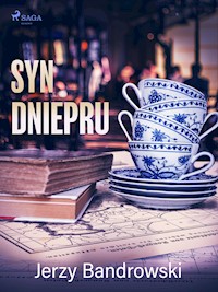 Syn Dniepru - Jerzy Bandrowski - ebook