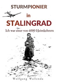 Sturmpionier in Stalingrad - Wolfgang Wallenda - ebook