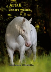 Artali - Michaela Ghisletta - ebook