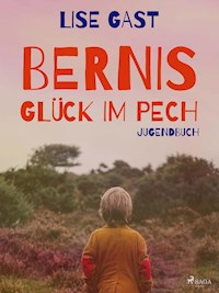 Bernis Glück im Pech - lise  gast  - ebook