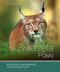Zwierzęta Polski - Kosińska Renata - książka
