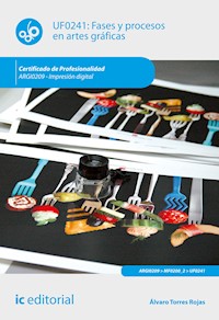 Fases y procesos en artes gráficas. ARGI0209 - Álvaro Torres Rojas - ebook