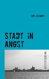 Stadt in Angst - Udo Schmidt - ebook
