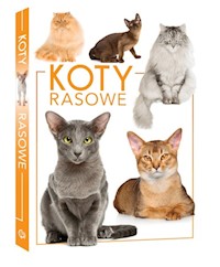 Koty rasowe -  - książka