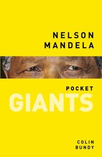 Nelson Mandela: pocket GIANTS - Colin Bundy - ebook