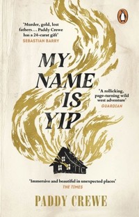 My Name is Yip - Crewe Paddy - książka