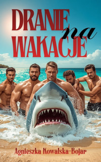 Dranie na wakacje - Agnieszka Kowalska-Bojar - ebook