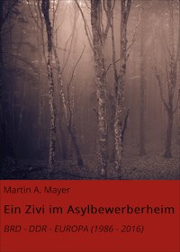 Ein Zivi im Asylbewerberheim - Martin A. Mayer - ebook