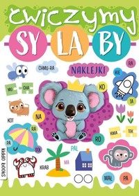 Ćwiczymy sylaby - Patrycja Wojtkowiak-Skóra - książka