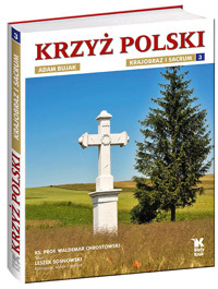 Krzyż polski Krajobraz i sacrum Tom 3 - Waldemar Chrostowski - książka