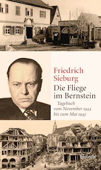 Die Fliege im Bernstein - Friedrich Sieburg - ebook