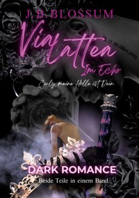 Via Lattea im Echo - j.b. blossum - ebook