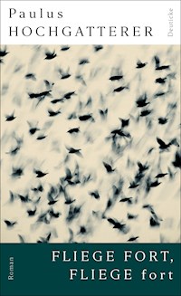 Fliege fort, fliege fort - Paulus Hochgatterer - ebook