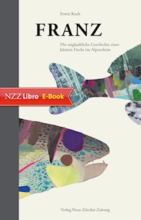 Franz - Koch Erwin - ebook