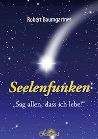 Seelenfunken - Robert Baumgartner - ebook