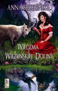 Wiedźma z Wilżyńskiej Doliny - Anna Brzezińska - książka